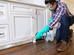 Best Pest Control for Multi-Family Homes  in Willcox, AZ